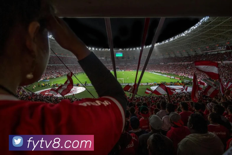 多媒体互动体验