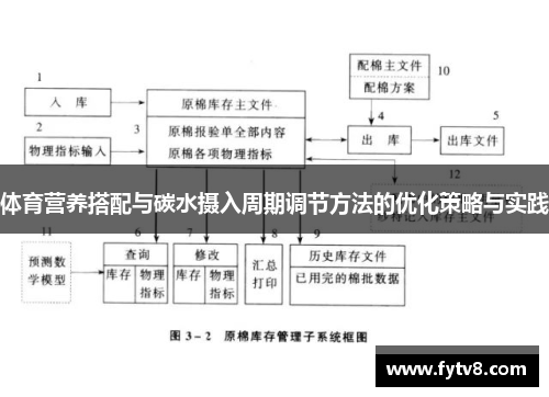 体育营养搭配与碳水摄入周期调节方法的优化策略与实践